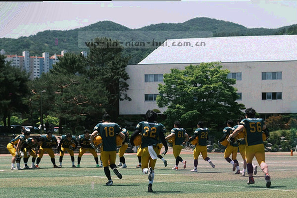 球场草坪与边线特写，画面带运动模糊